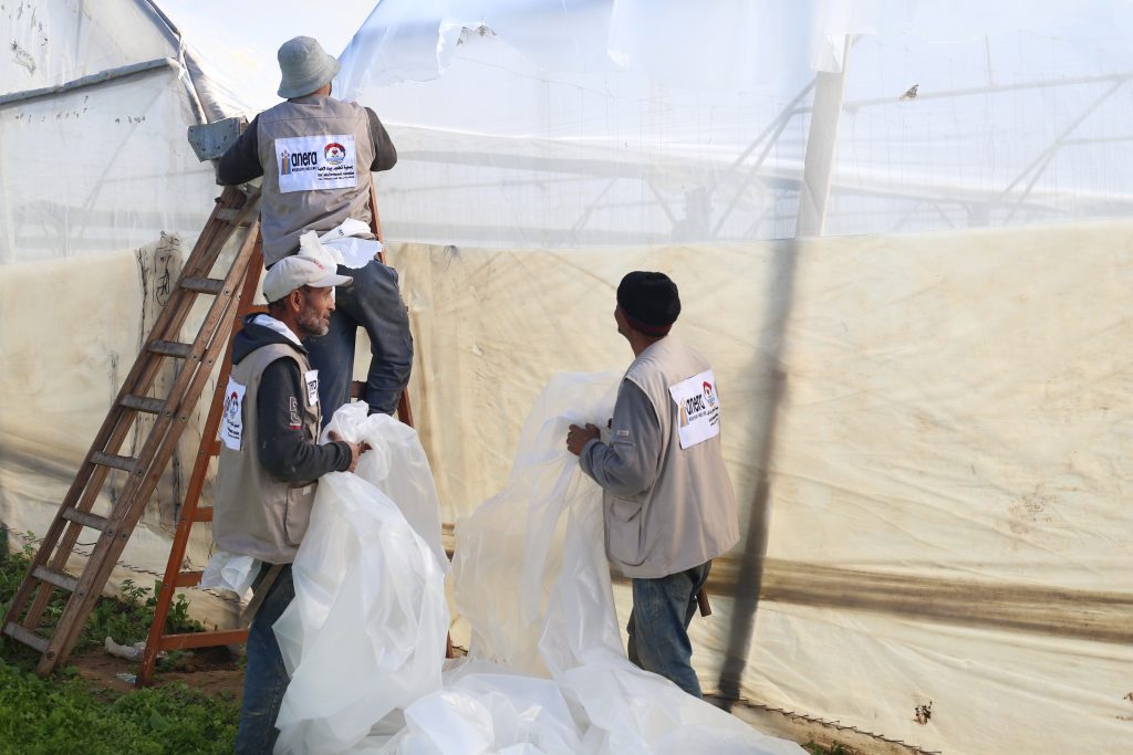 Agricultural Greenhouse Rehabilitation Project, supported by (Anera)