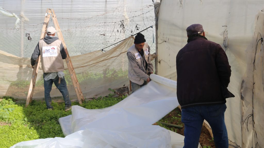 Agricultural Greenhouse Rehabilitation Project, supported by (Anera)