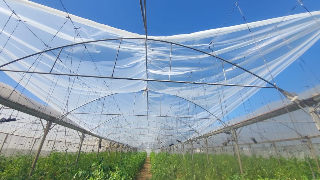 Agricultural Greenhouse Rehabilitation Project, supported by (Anera)