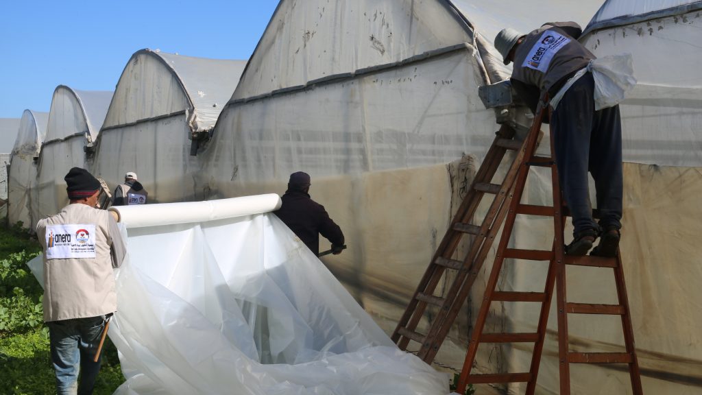 مشروع تأهيل 80 دفيئة زراعية بالشراكة مع مؤسسة أنيرا (ANERA)