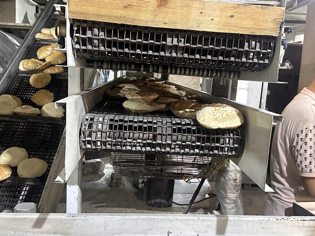 Relief Response: Distribution of Over 47,000 Bread Bundles in Northern Gaza