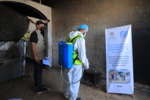 جهود مستمرة لمكافحة نواقل الأمراض والقوارض في مراكز الإيواء بالشراكة مع (IOM)