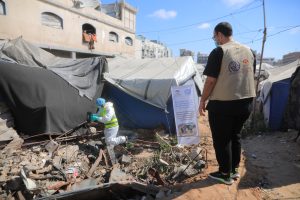 جهود مستمرة لمكافحة نواقل الأمراض والقوارض في مراكز الإيواء بالشراكة مع (IOM)