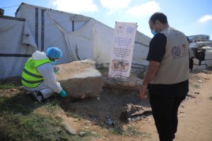 جهود مستمرة لمكافحة نواقل الأمراض والقوارض في مراكز الإيواء بالشراكة مع (IOM)