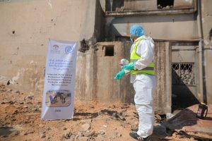 جهود مستمرة لمكافحة نواقل الأمراض والقوارض في مراكز الإيواء بالشراكة مع (IOM)