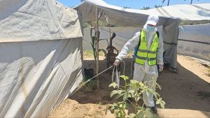 جهود مستمرة لمكافحة نواقل الأمراض والقوارض في مراكز الإيواء بالشراكة مع (IOM)