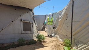 جهود مستمرة لمكافحة نواقل الأمراض والقوارض في مراكز الإيواء بالشراكة مع (IOM)