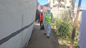 جهود مستمرة لمكافحة نواقل الأمراض والقوارض في مراكز الإيواء بالشراكة مع (IOM)