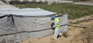 جهود مستمرة لمكافحة نواقل الأمراض والقوارض في مراكز الإيواء بالشراكة مع (IOM)