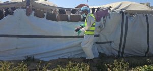 جهود مستمرة لمكافحة نواقل الأمراض والقوارض في مراكز الإيواء بالشراكة مع (IOM)