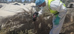 جهود مستمرة لمكافحة نواقل الأمراض والقوارض في مراكز الإيواء بالشراكة مع (IOM)